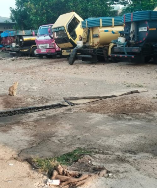 Galeri Muslem Sedot WC (9)