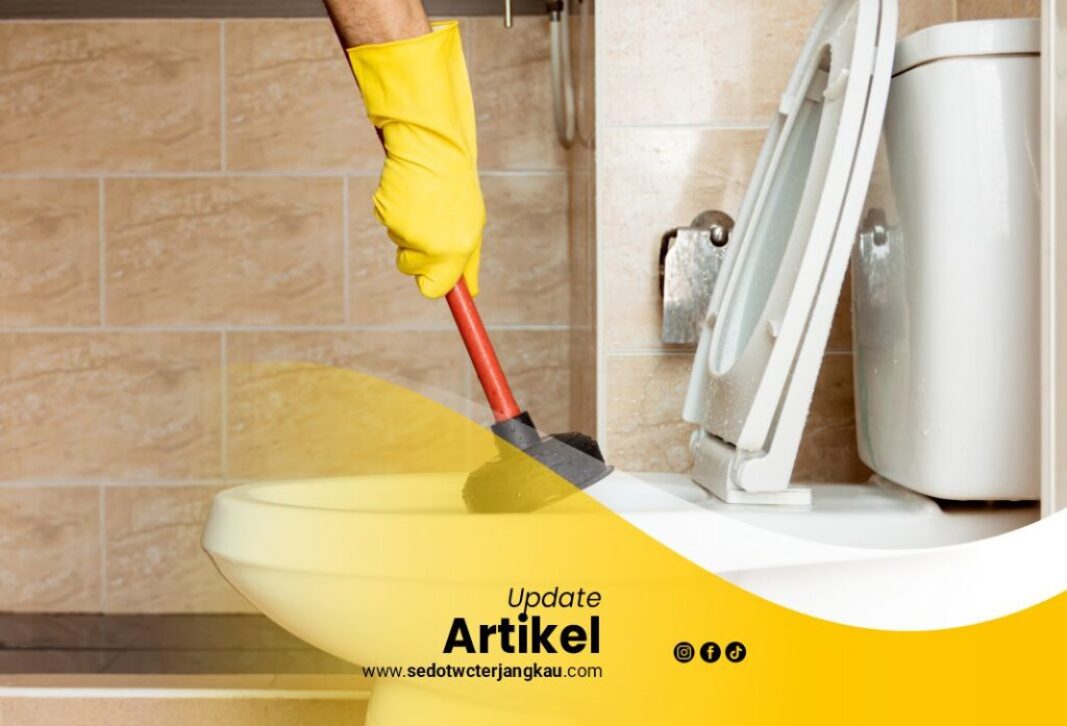 Sedot WC Jabodetabek rev